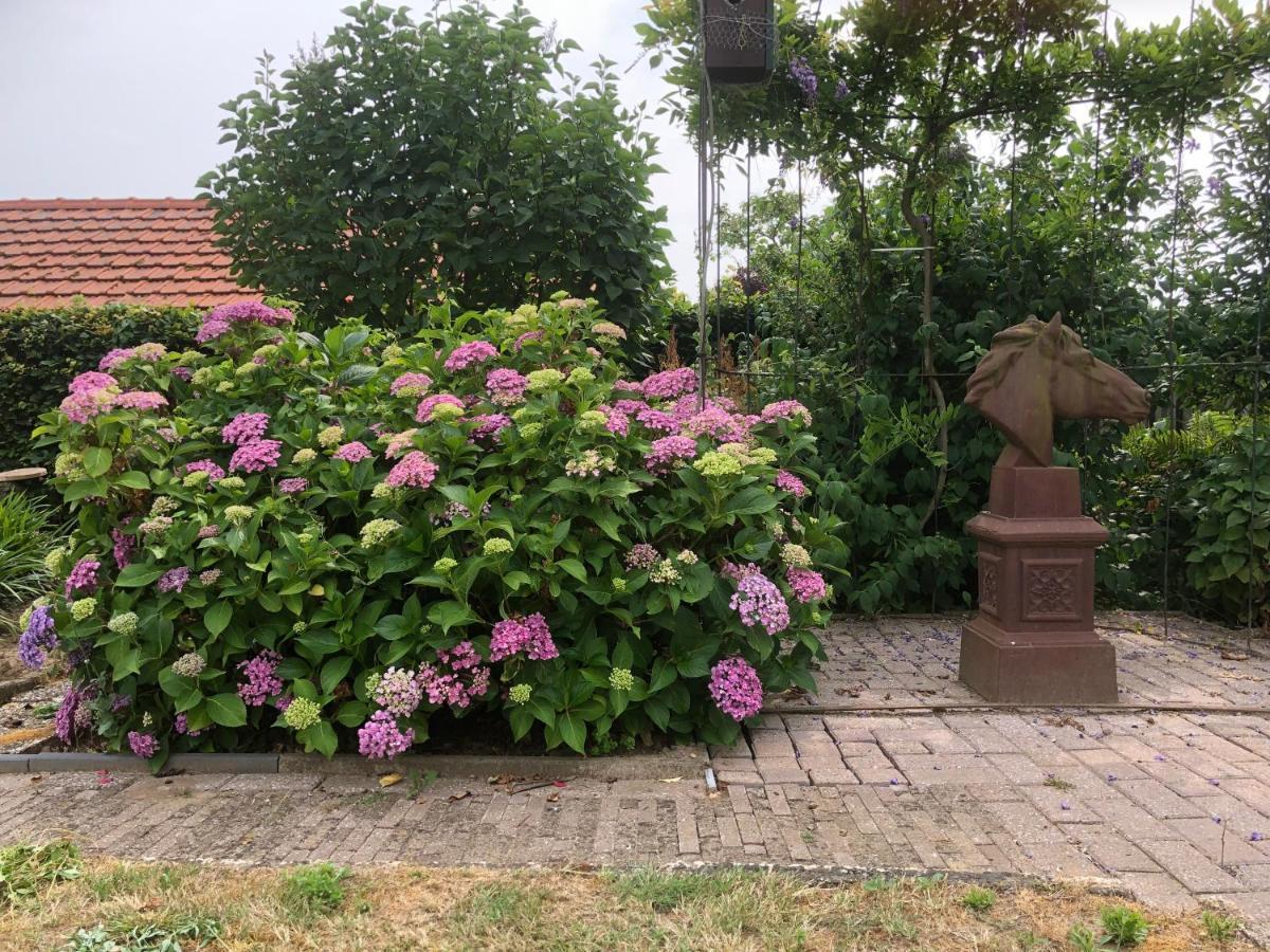 Laaker Villa Nearby Outlet Roermond Ohe en Laak Ngoại thất bức ảnh