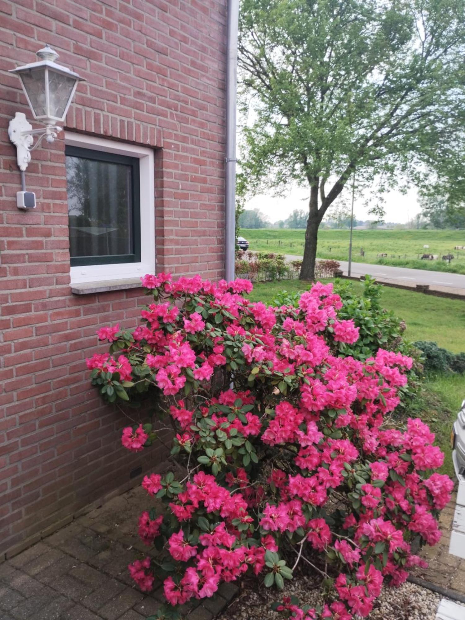 Laaker Villa Nearby Outlet Roermond Ohe en Laak Ngoại thất bức ảnh
